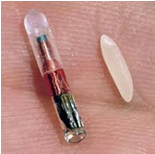 idchip and grain of rice
