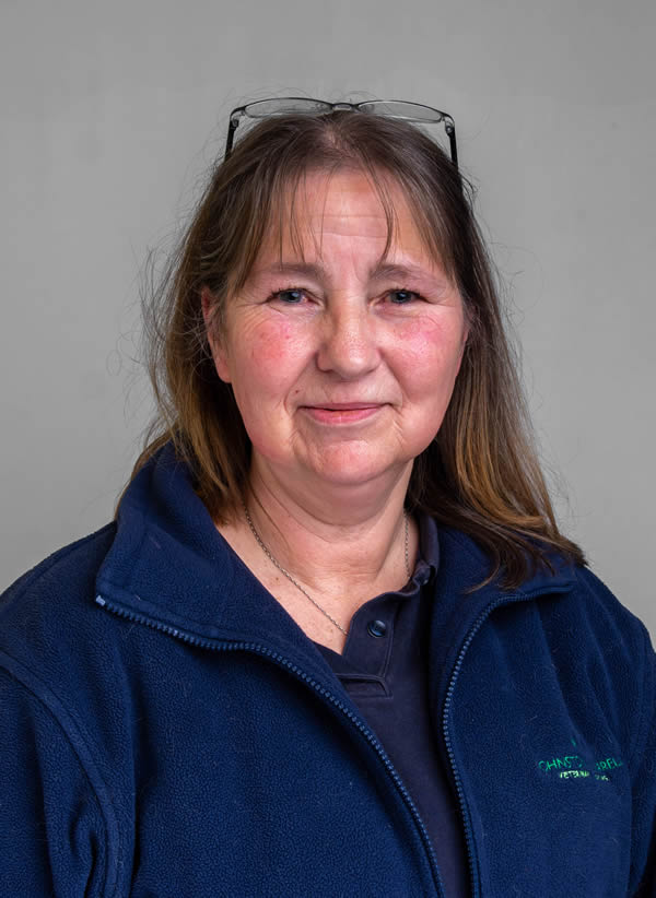 Marianne Schepers